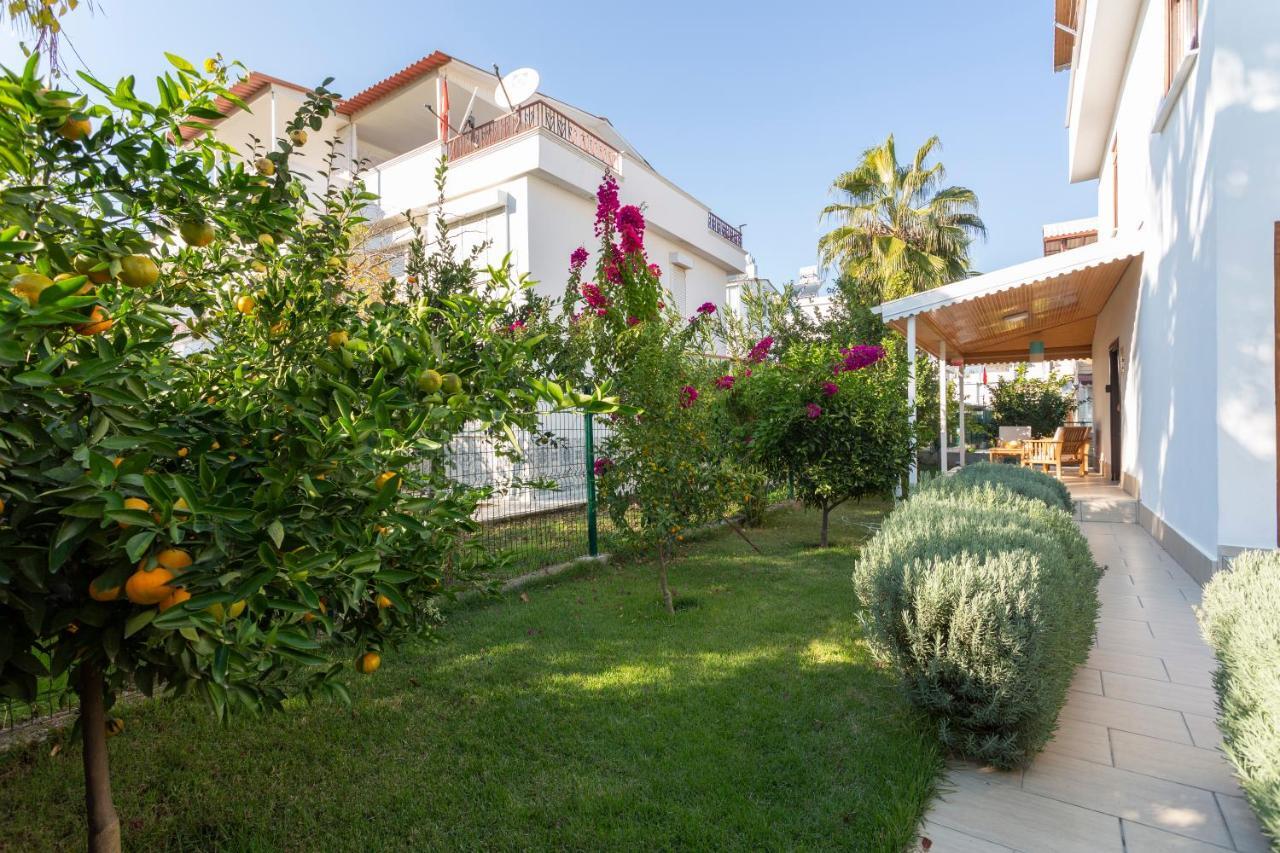 באלאק Villa Esma מראה חיצוני תמונה